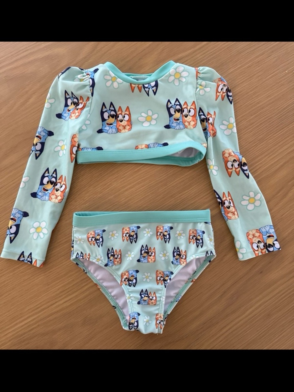 2t bluey swim suit